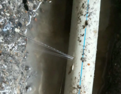 南阳市测漏水哪家好